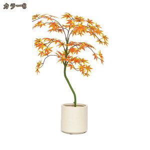 gt tFCNO[ lHϗtA H̑ 100cm ^ lHϗt ItBXΉ Xܑ lH RŃA ȃ ȒP sv Q쏜sv ͂Ȃ O ItBX