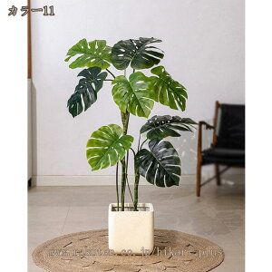 2000~OFFN[| Xe Ύ lHϗtA ^ tFCNO[ lHϗtA lH tFCNO[ t ^ϗt tFCNϗtA ȒPb炸 sv ډB 