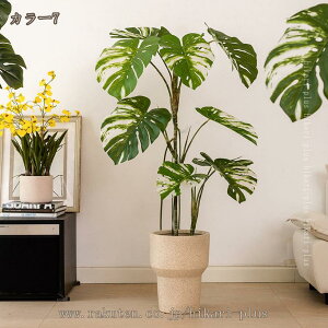 Xe Ύ lHϗtA ^ tFCNO[ lHϗtA lH tFCNO[ t ^ϗt tFCNϗtA ȒPb炸 sv ډB p tFCN