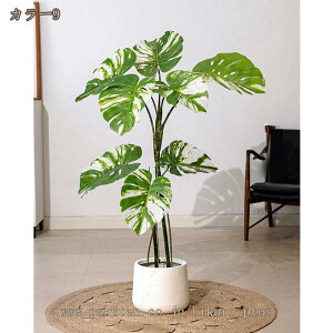 Xe Ύ lHϗtA ^ tFCNO[ lHϗtA lH tFCNO[ t ^ϗt tFCNϗtA ȒPb炸 sv ډB p tFCN