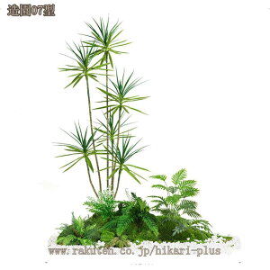 lHϗt ^ tFCNO[  ϗtA hZi l Xe  CeA lHϗtA Bep   i` Xg̊Ԏd؂ KiR[i[ 