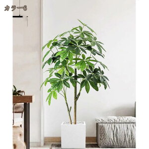 tFCNO[ pL K̖ tFCNϗt lHϗtA sv Q̐SzȂ AȎ} Rȗt CeA ItBX z lHϗtA A ^  C