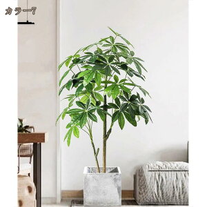 tFCNO[ pL K̖ tFCNϗt lHϗtA sv Q̐SzȂ AȎ} Rȗt CeA ItBX z lHϗtA A ^  C