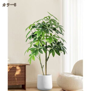 tFCNO[ pL K̖ tFCNϗt lHϗtA sv Q̐SzȂ AȎ} Rȗt CeA ItBX z lHϗtA A ^  C