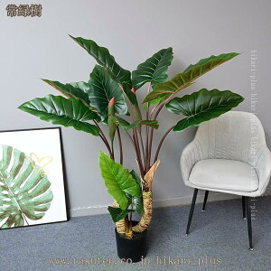 ϗtA tFCNO[ lHϗtA ^ V̖ X GgX c ItBX E P  ze [ JXj JƏj gsJ CeA  rO