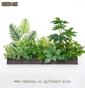 tFCNO[ ^ lHϗtA MѐA A{gt {  O  悯oRj[ Ƃ Iȑ {  lHϗtA Ԏd؂ ډB