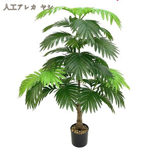 lHϗtA ^ Mъϗt  tFCNO[ CeA Vv   oRj[ fR[V ItBX X x_ lHϗtA Ύ  tFCNO[ 