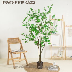 lHϗtA ^ tFCNO[ CeA G鎞ɐ^Ȋ ׍HJ @ׂȗt tFCNc[ Ƃ̒ɒu  z[  Lb` ItBX bȂ sv t