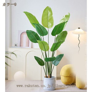 tFCNO[ ^tFCNO[ ^lHϗtA ϗtA CeA  O sv ͂Ȃ ~͐A X GgX c ItBX Ή E P  