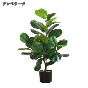 lHϗtA tFCNO[ ^ CeA  O  ItBX tFCNA lHϗtA sv ͂Ȃ ~͐A tFCNO[ u i` Vv M