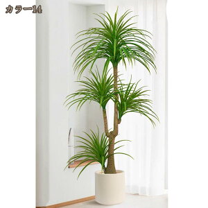 hZi lHϗtA tFCNO[ 4} 160cm ^ gsJA i` MѐA    O Ki[ ϋv  N₩ ׍HJ ͂Ȃ ȒP