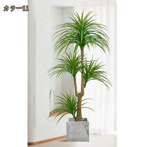 hZi lHϗtA tFCNO[ 4} 160cm ^ gsJA i` MѐA    O Ki[ ϋv  N₩ ׍HJ ͂Ȃ ȒP