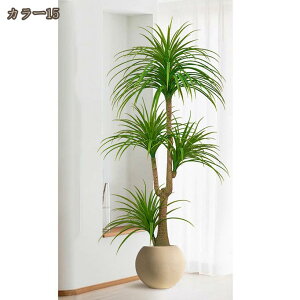 hZi lHϗtA tFCNO[ 4} 160cm ^ gsJA i` MѐA    O Ki[ ϋv  N₩ ׍HJ ͂Ȃ ȒP