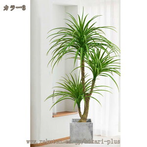 2000�~OFF�N�[�|�� �l�H�ϗt�� �t�F�C�N�O���[�� ��^ �l�H�ϗt�A�� ������� �ϗt�A�� ���� �I�t�B�X �C���e���A �J�X�j�� �J�Əj�� �i�`���������A�b�v �������ȒP �g���s�J���A�� �����