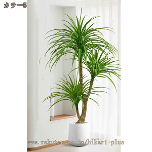 lHϗt tFCNO[ ^ lHϗtA  ϗtA  ItBX CeA JXj JƏj i`Abv ȒP gsJA sv Q̐Sz