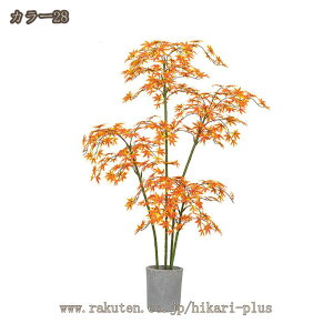 lHϗtA tFCNO[ ^ Iȑ CeA   Ki[ ϋv Ƃ JX JƏj Ԏd؂ ItBXΉ Xܑ i` RȎp t