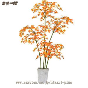 lHϗtA tFCNO[ ^ Iȑ CeA   Ki[ ϋv Ƃ JX JƏj Ԏd؂ ItBXΉ Xܑ i` RȎp t