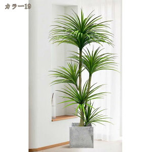 hZi 5} 180cm tFCNO[ lHϗtA  CeA ItBX rO[ z[ X Q ׍HJ  p[eB[ { ډB p ȒP 