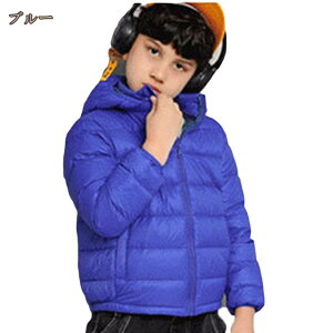 _EWPbg R[g xr[ j̎q WPbg ̎q q _EEFA LbY h h 킢  H ~ V[g qR[g h ۉ ~ t[ht AE^[ ʊw 