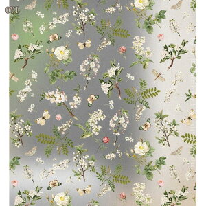 KX fM Ih~V[g XehOX fMtB \Ă͂ Ih~tB pV[g hV[g ډBV[g C΍ GR ߓd ȃGl KX  