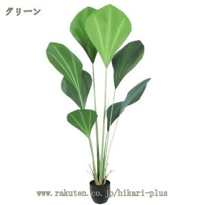 lHϗtA  CeA tFCNO[ j Mtg v[g JXj Vzj aj j  X^CbV ^  Vv ze A  oRj