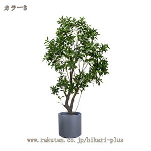 n lHϗtA tFCNO[ ^ Ύ CeA O ͂Ȃ ~͐A tFCNA sv JX J Vzj ̓ ̓ Mtg 蕨  tFCNO