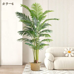 lHAJV ^ tFCNO[ lHϗtA ItBXΉ Xܑ RŃA lHϗt O ItBX ȒPb炸 ȒP sv Q쏜sv ͂Ȃ  l