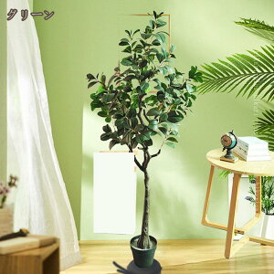 1000~OFFN[| tFCNO[ lHϗtA ϗt  A R ϋv ȒP sv QSzȂ Vv  CeA rO   ItBX z[