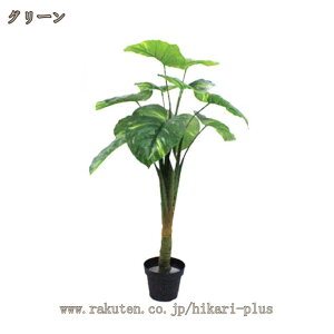 ~ tFCNO[  lHϗtA A CeA  ItBX b炸 sv  ϗt VbvX Bep  zj v[g ̓ 