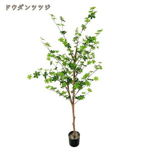 lHϗtA tFCNO[ ϗA   A O ItBX CeAO[ ^ _ԂɍœK v[g zj ̓ ȒP QȂ 