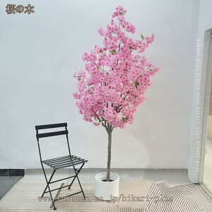 ϗtA sN  tFCNO[ lHϗtA p A PP uȒP   rO ItBX ze u u i` Vv k ^ 