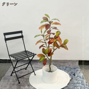 lHϗtA A ^ O lHA  CeA {   ItBX ˌ   X i sv Q̐SzȂ ̓ ̓ hV̓ Ԃ v