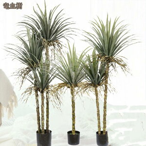 kINSX^C lHϗtA tFCNO[ sv 엿sv ͂Ȃ CeA   tFCNc[ G z[fR[V rO xbh[ JtF 