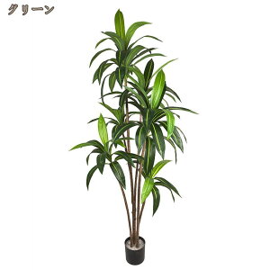 tFCNO[ϗtA lHϗtA ϗt  CeA bȂ sṽz[ CeAO[ A   ItBX   茺 Lb` v[gp