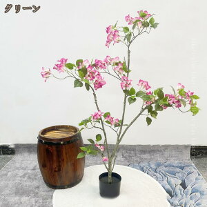  tFCNO[ lH ϗtA ϗt tFCN O[ CeA  rO ItBX  傫 A A  ֐ xbh[ JtF  ʐ^Bep 