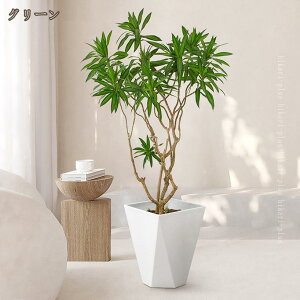 ϗtA tFCNO[ lHϗtA ^ A  v[g CeA p Bep   OΉ Bep CeA rO  lHϗt 