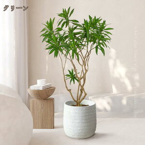 tFCNO[ ^ 傫 傫  A CeAO[ lHϗtA lH  A[gO[ ϗtA t[AWg fBXvC p Ƌ {