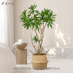 lHϗtA ^ CeAG EFfBOZ^[s[X tFCNO[ j JXj ̓ bsv ₷ ډB 傫  zj Vzj {