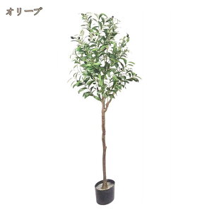 ptFCNO[ ^  t CeAO[ A  ^ϗt ȒPb炸 sv  p xbh[ArO[AItBXAւȂǎ