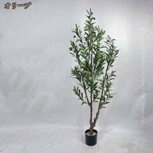 lHϗtA tFCNO[  lHA ϗt CeAO[  ItBX   ͂Ȃ bsv lH fBXvC  j Əj Vzj 