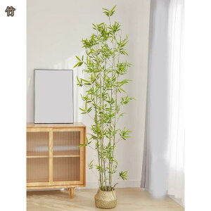 kins ϗtA tFCNO[ lHϗtA  CeA  O tFCNA lH sv ͂Ȃ ~͐A ꂢ AȎ}t }̊px\ sv JX 