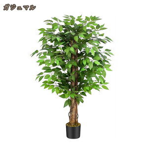 ϗt ϗtA tFCNO[ tFCN A tFCNc[ CeA  ^  O  lHϗtA zj k sv ͂Ȃ ډB p | lH