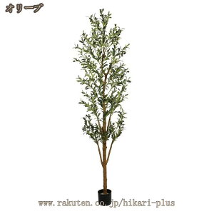 lHϗtA kCeA tFCNO[ A    SݓX   ̎Os sv Q̐SzȂfR[V z[ x_ p Bep G