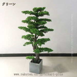 lH~  ƒp~̖͂ ȂO lHϗtA ^   k  _ JtF CeA Ƌ V l炵   rO _CjO Q 