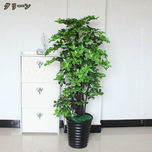 ^ O  Aؔ tFCN A   a A ItBX tFCNO[ ϗt CeA   ƒ Lb` rO _CjO Q Iȑ z̃M