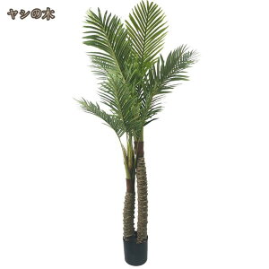 tFCNO[ lHϗtA R ϋv   CeA  ϗtA X ډB fR[V z[EItBXEz[Ex_E p Bep DIY G u 