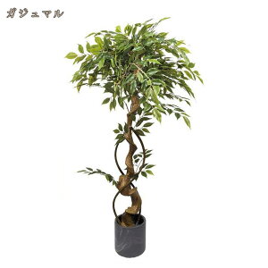 tFCNO[ ^ ϗtA tFCN p  CeA  rO ItBX v[g A 傫 A   A[gO[  K sv v[