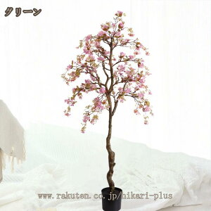 ϗtA tFCNO[ CeA A  ͂Ȃ A[gt[ I[ig ] a hV̓  ƁAցAiX v[g   JtF Xܗp 