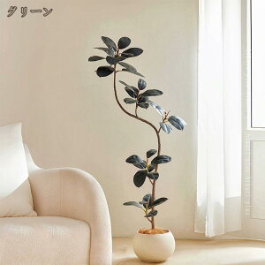 ^CeAO[ lHϗtA tFCNO[ { CeAO[ sv  lHA 蕨 Mtg NX}Xv[g  rO ItBXp 