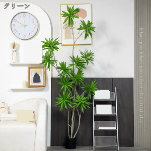 ϗtA tFCNO[ A  lHϗtA CeAO[  CeAG |bg A 傫  rO ItBX X Mtg  ͂Ȃ JX Vz 